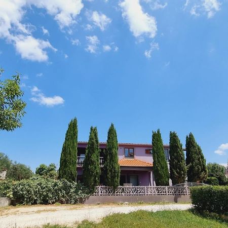 Apartmani Nika Bibinje Exteriör bild